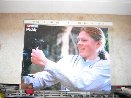 Hit poster von paddy kelly - von, mit