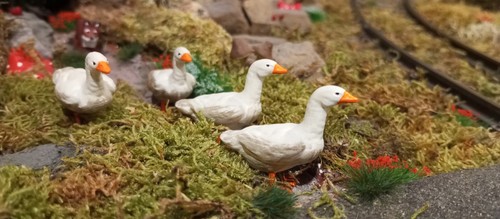 Gänse gans bauernhof - gänse,, gans,