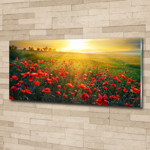 Glas bild wandbilder druck auf - glas-bild,