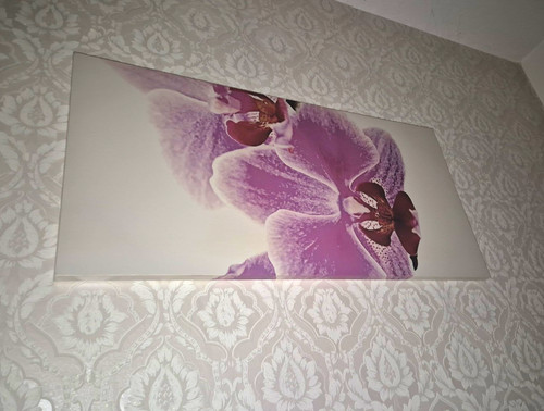 Orchideen bild - orchideen,