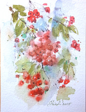 Kleines Aquarell " Eberesche