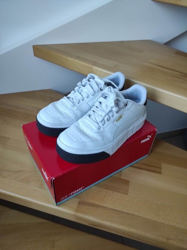 Puma carina cali - carina, 38,5