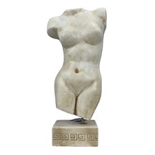 Akt weiblicher Körper Torso