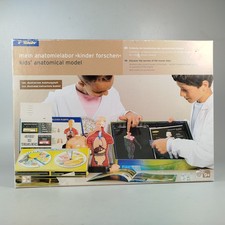 Walter Anatomiemodell
