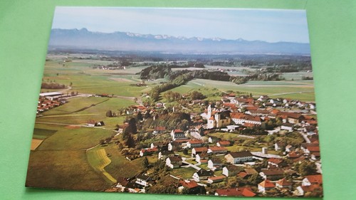 Rott inn - rott,