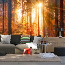 Wald Sonne Herbst Natur VLIES