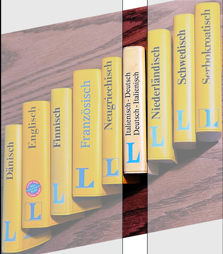 Langenscheidt wörterbuch - langenscheidt,