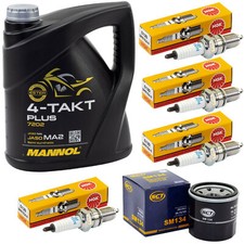 Öl Set Inspektion 4L für