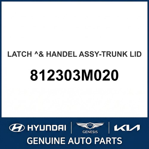 2008 2015 hyundai equus - 2008-2015,