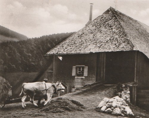 687 bauernhaus im - bauernhaus,