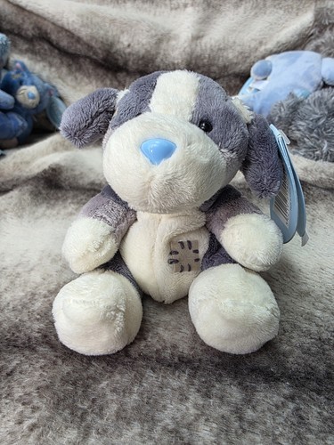Blue nose friends alpine - nose,