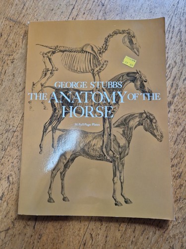 The anatomy horse - anatomy,