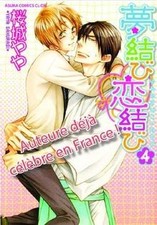 Yume Musubi Koi Musubi Vol.4