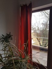 2 Stck. Vorhangschals cottonfarben 130 cm x 253 cm