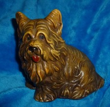 Hübscher interssanter alter Yorkshire Terrier aus einem alten Nachlass