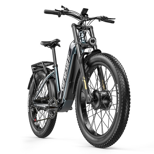 2000w dual motor offroad - dual,