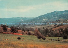 D101839 Borla di Vernasca