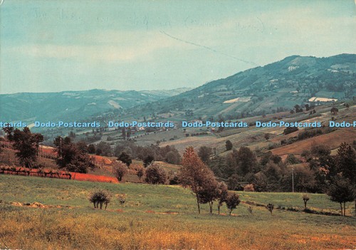 D101839 borla vernasca - d101839, di