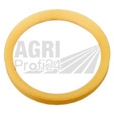 Dichtring Vorderachse für