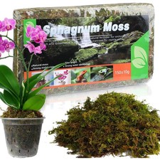 Sphagnum Moos für Pflanzen