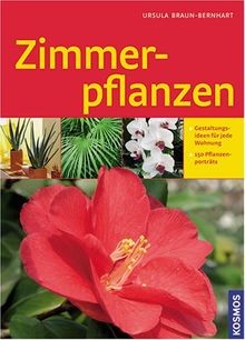 Zimmerpflanzen 150 - zimmerpflanzen:,