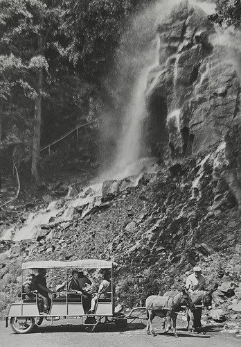 Trusetal thüringer wald - trusetal,