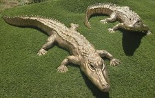 Alligatoren/Krokodile