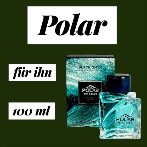 Herren parfum 100ml polar - parfum,