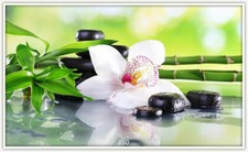 Könighaus Infrarotheizung - 1000W Bildheizung in HD 200+Motive + Thermostat