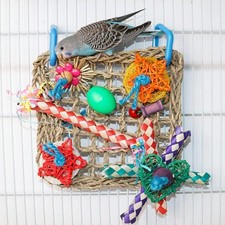 Vogel futtersuche - vogel,