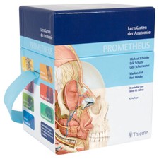 PROMETHEUS Lernkarten der