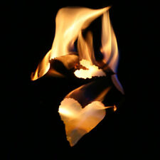 Feuerkugel Herz D180 -