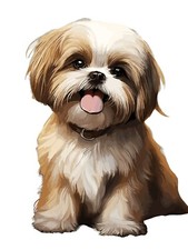 Shih Tzu Auto Aufkleber 9X9 cm