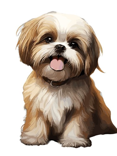 Shih tzu auto aufkleber 9x9 - auto,