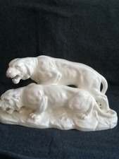 2 sehr große Tiger der