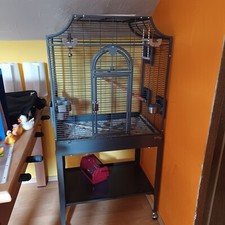 SittichKäfig VogelKäfig Vogelbauer Voliere Madeira I Antik von Montana Cages