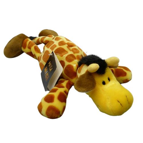 Nici giraffe wild friends - wild,