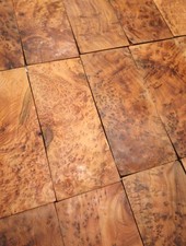 1x Thuja Wurzelholz Thuya