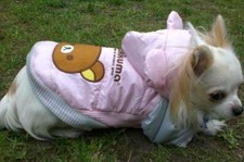 Hunde Winter Mantel rosa