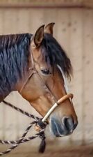 bosal pferd  braun  1/2 Zoll natur beige von Michael Nagel