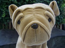 Hund Faltenhund Shar Pei  52