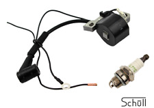 Zündmodul Zündkerze passend