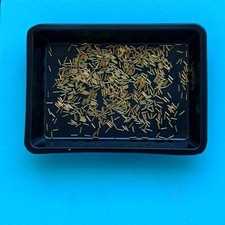 Diorama Maßstab 1/35 Patronenhülsenmodell Panzer Militär Szene Requisiten Modell