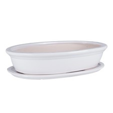 19 cm Bonsai Schale Baum Mini