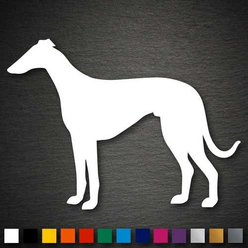 21553 whippet aufkleber - whippet,