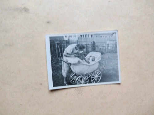 Alte fotografie foto - 🟣,
