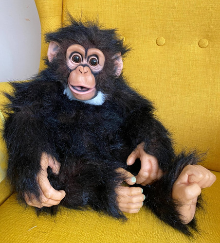 Axtell amazing apes - amazing,