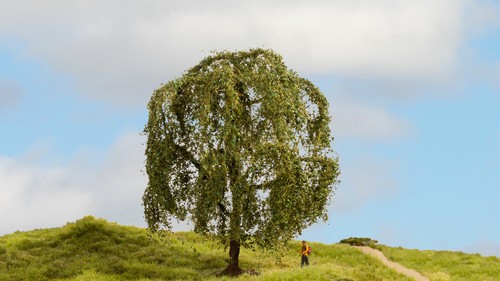 20115 noch trauerweide cm - 20115,