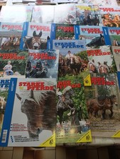 Starke Pferde Zeitschrift lose