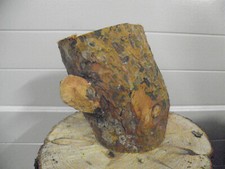 (2)   hauklotz spaltklotz